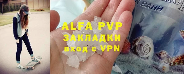 шишки Верея
