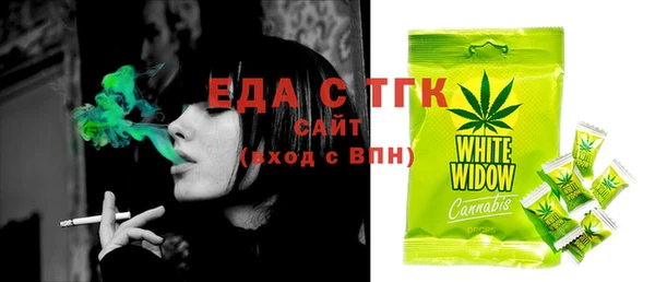 шишки Верея