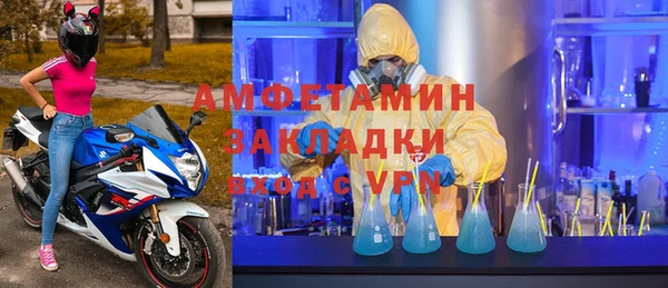 шишки Верея