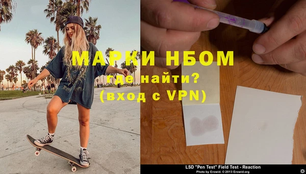 шишки Верея