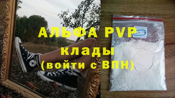 шишки Верея