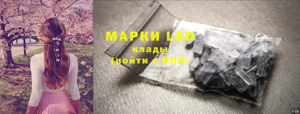 шишки Верея