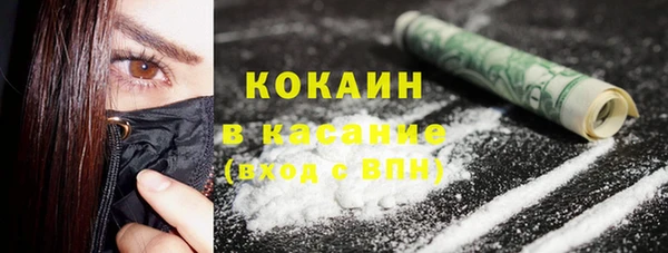 шишки Верея