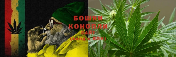 шишки Верея