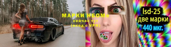 шишки Верея